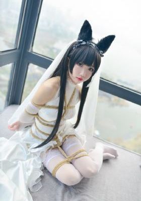五部欧美动作片的热度_高清电影在线看